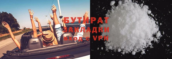 гашик Ельня