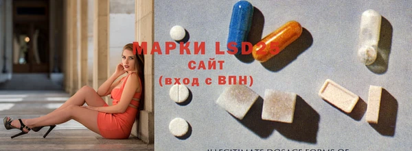 гашик Ельня