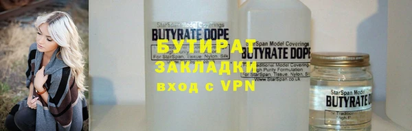гашик Ельня
