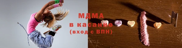 гашик Ельня