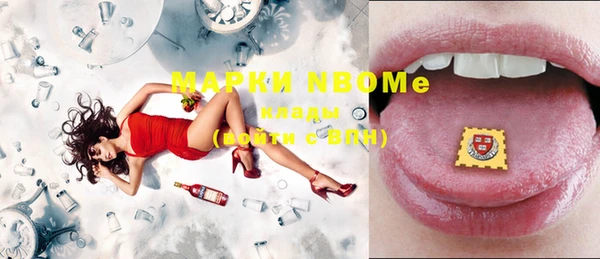гашик Ельня
