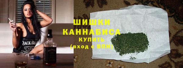 гашик Ельня
