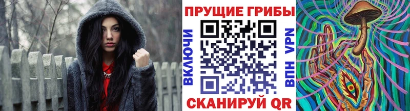 Псилоцибиновые грибы прущие грибы  Купить  Кологрив 